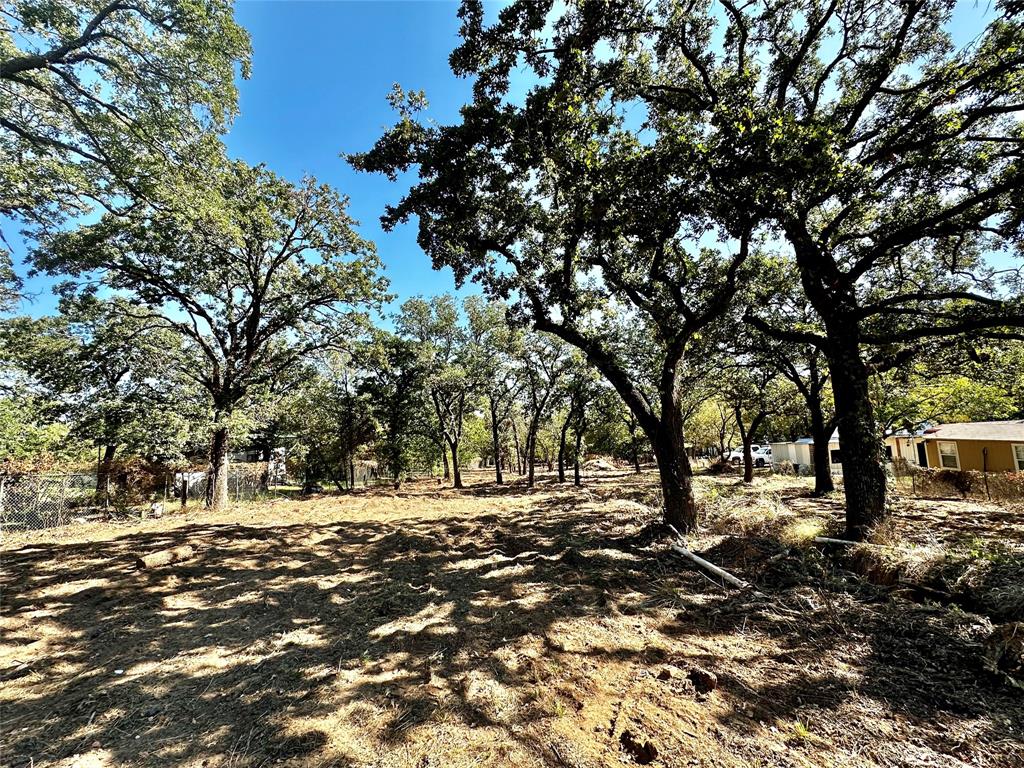 7347 Remington Road Mansfield, TX 76063 - Photo 7 of 8 a view of outdoor space with trees
