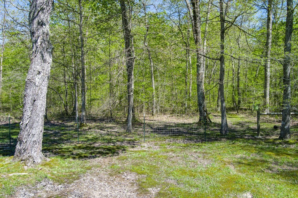 458 Tabletop Road Monterey, TN 38574 - Photo 53 of 65 Gallery Image 53