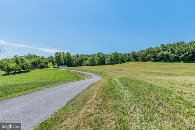 a view of an ocean from a yard