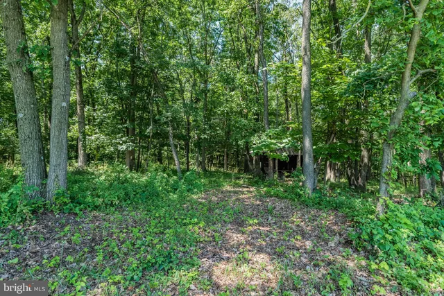 $1,500,000 | 9713 Rowe Run Road, Orrstown, PA 17244