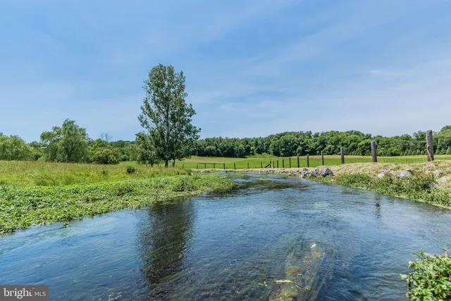 a view of a green field with lots of green space