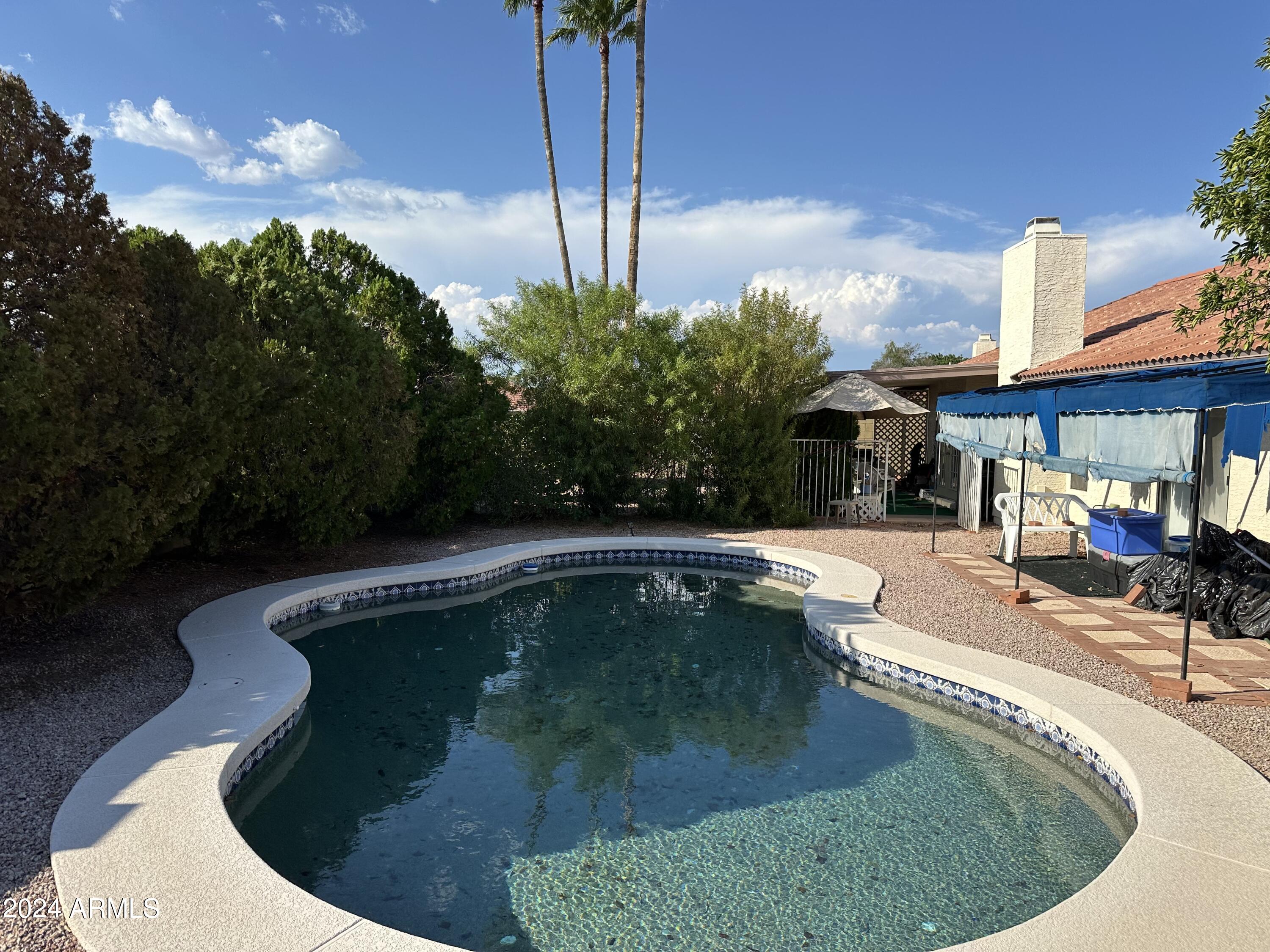 840 North Arvada Mesa, AZ 85205 - Photo 6 of 6 pool