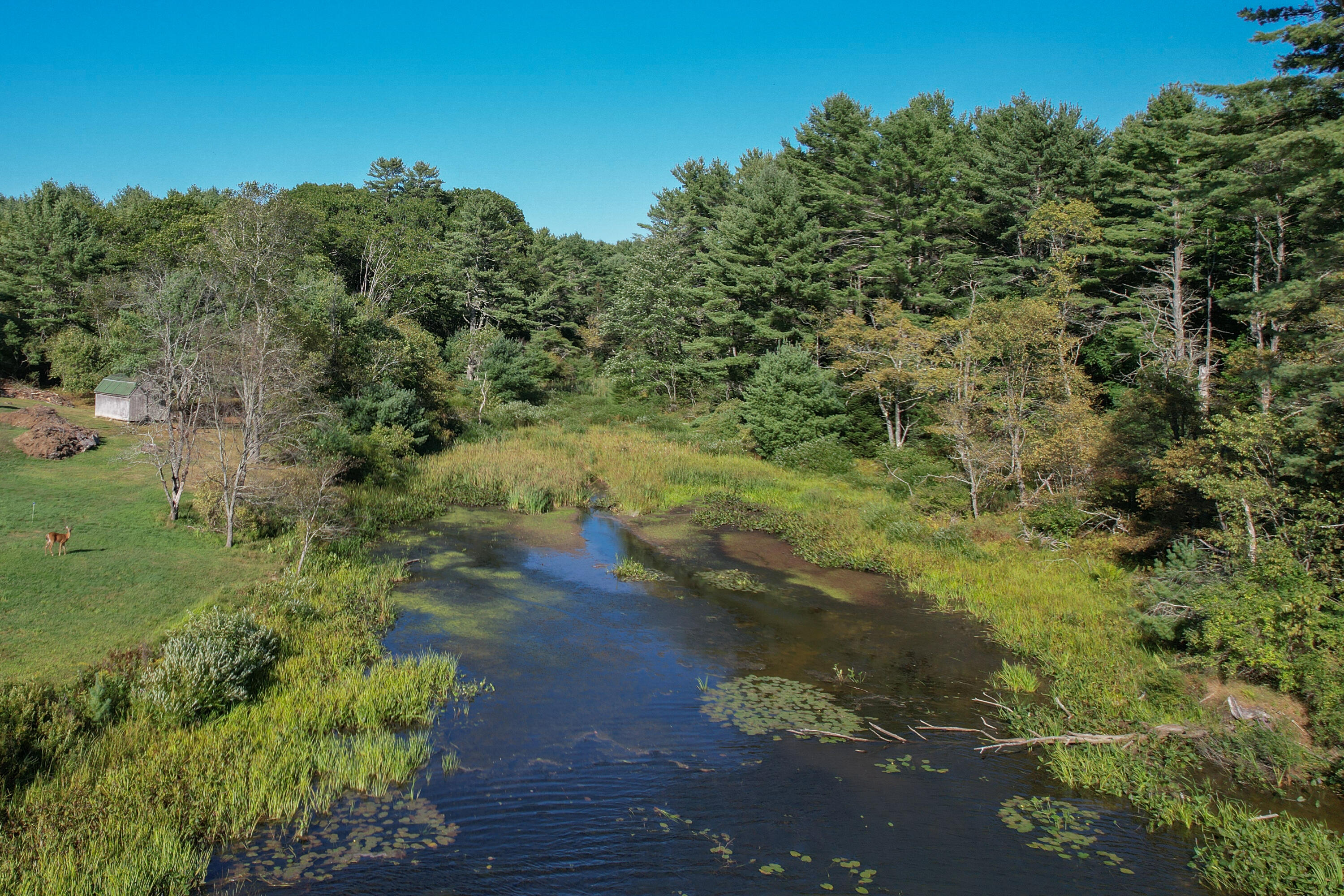 Lot #13-1 Lot#13-1 Shore Road Ellsworth, ME 04605 - Photo 19 of 41 Aerial