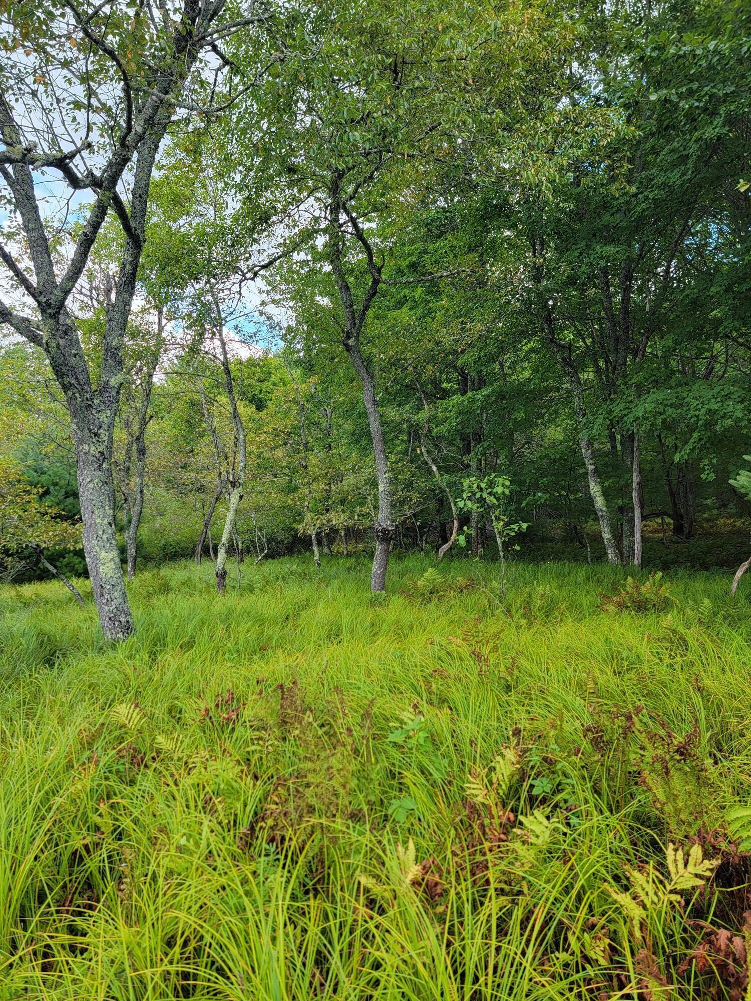 Lot #13-1 Lot#13-1 Shore Road Ellsworth, ME 04605 - Photo 26 of 41 Lot 13-1