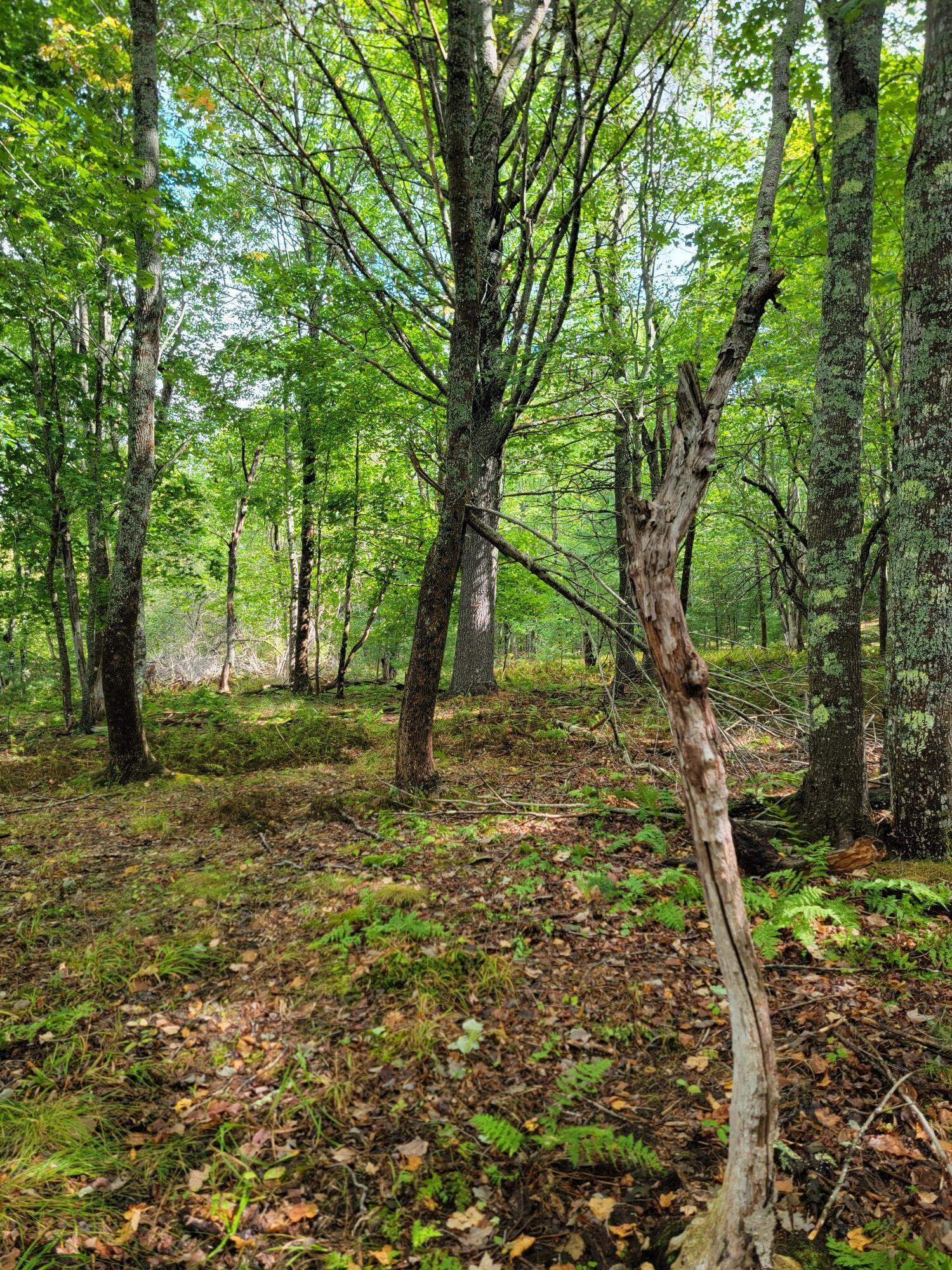 Lot #13-1 Lot#13-1 Shore Road Ellsworth, ME 04605 - Photo 27 of 41 Lot 13-1