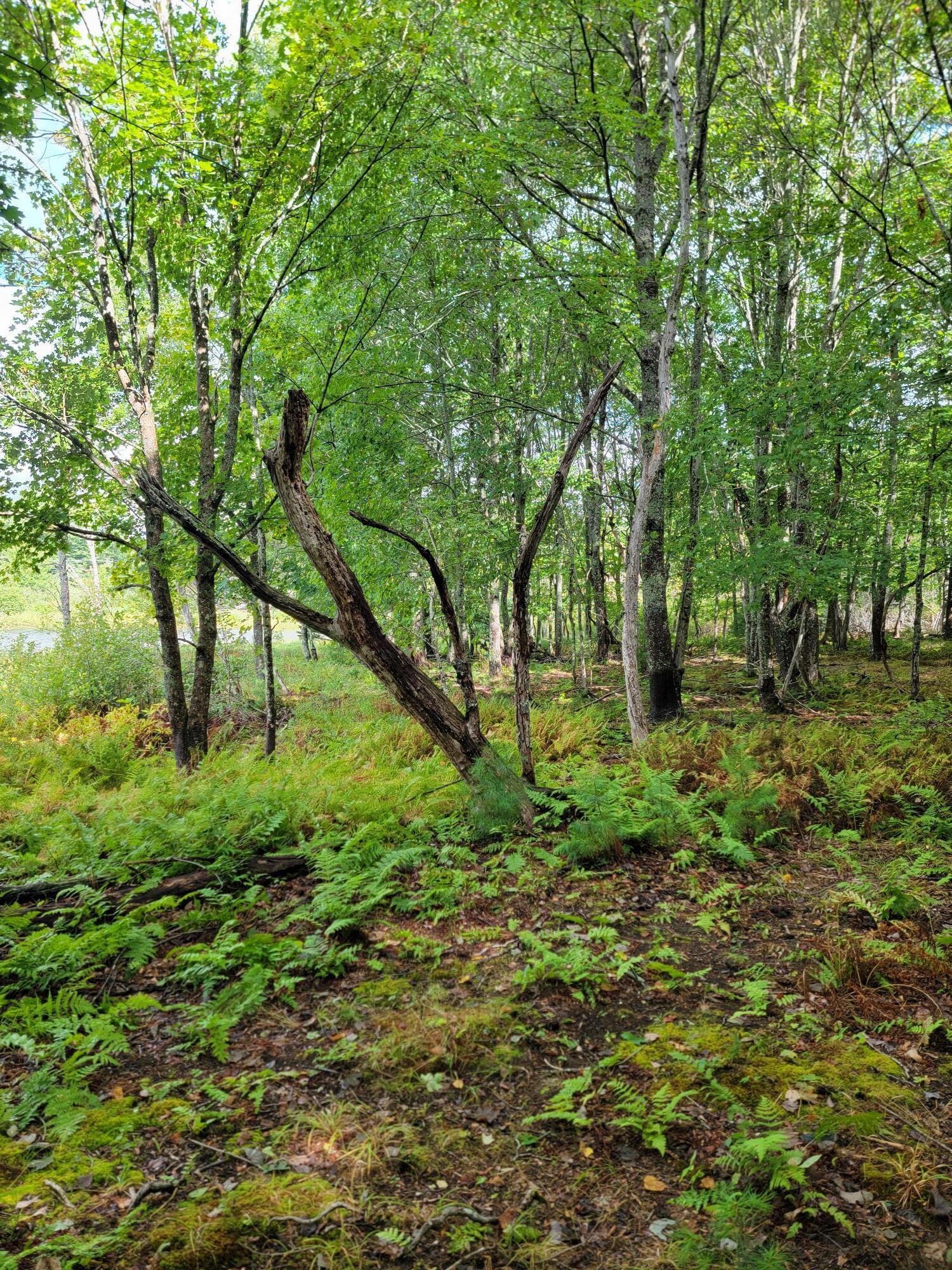 Lot #13-1 Lot#13-1 Shore Road Ellsworth, ME 04605 - Photo 28 of 41 Lot 13-1