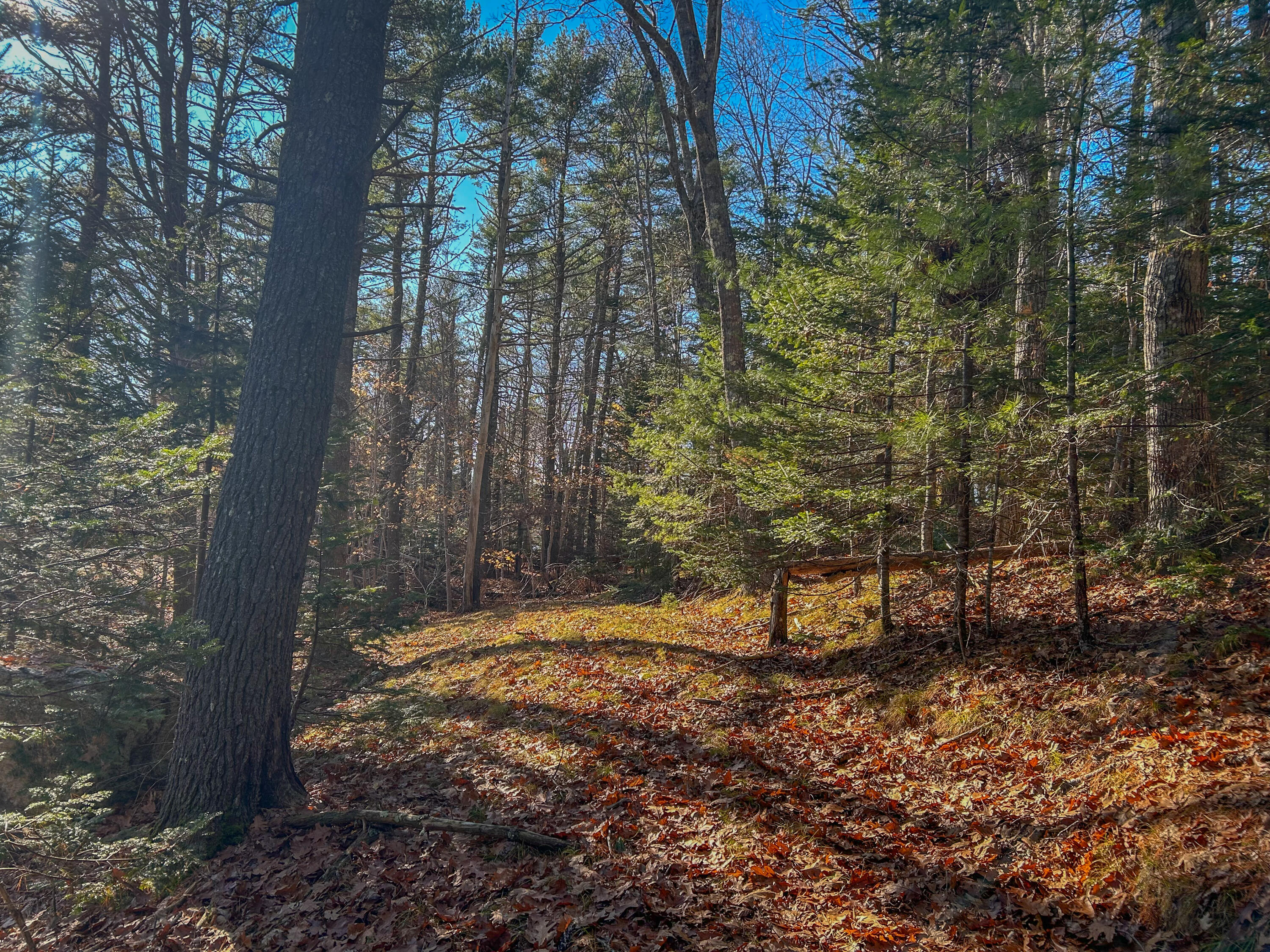 Lot #13-1 Lot#13-1 Shore Road Ellsworth, ME 04605 - Photo 31 of 41 Lot 13-1