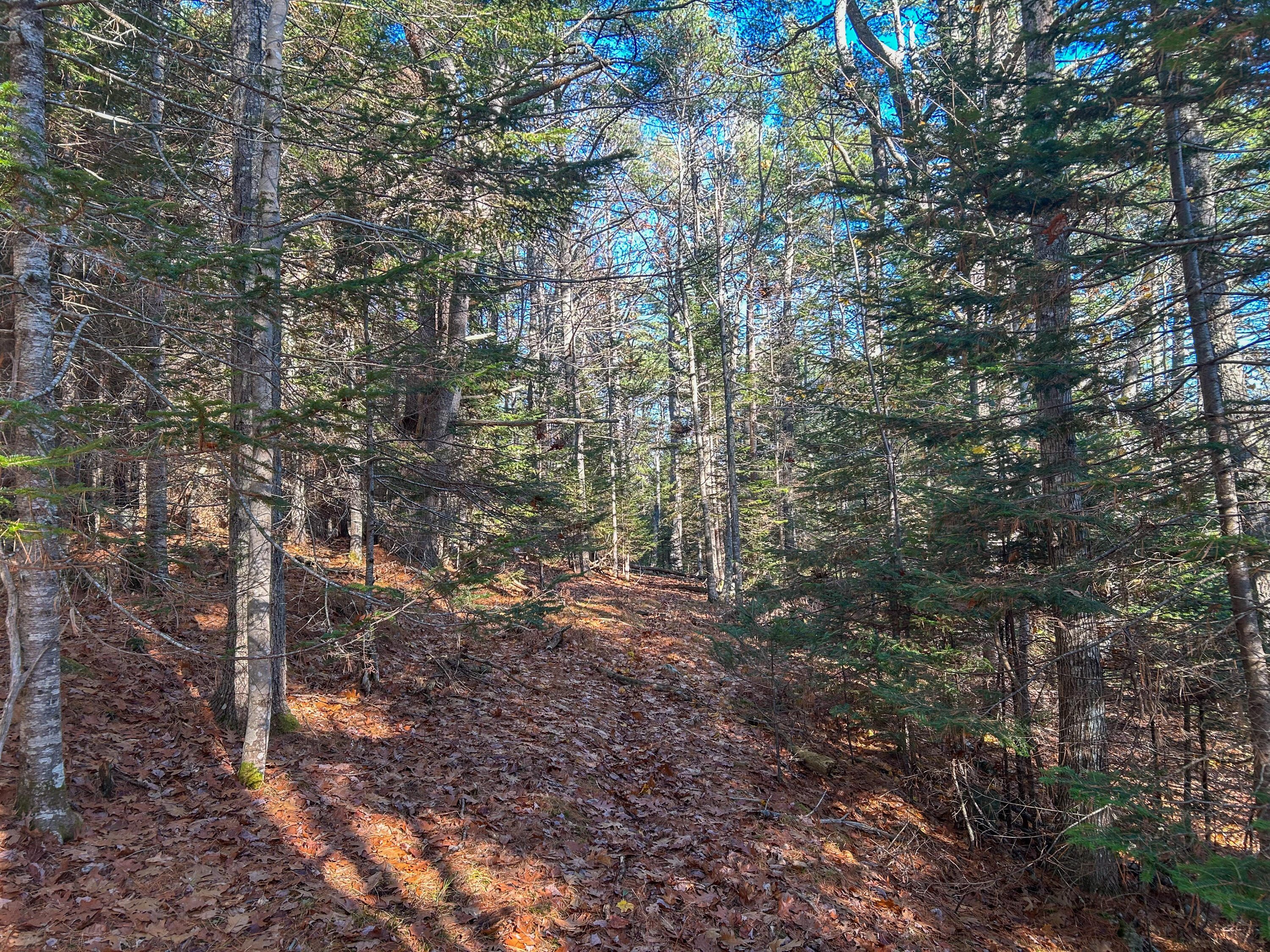 Lot #13-1 Lot#13-1 Shore Road Ellsworth, ME 04605 - Photo 32 of 41 Lot 13-1