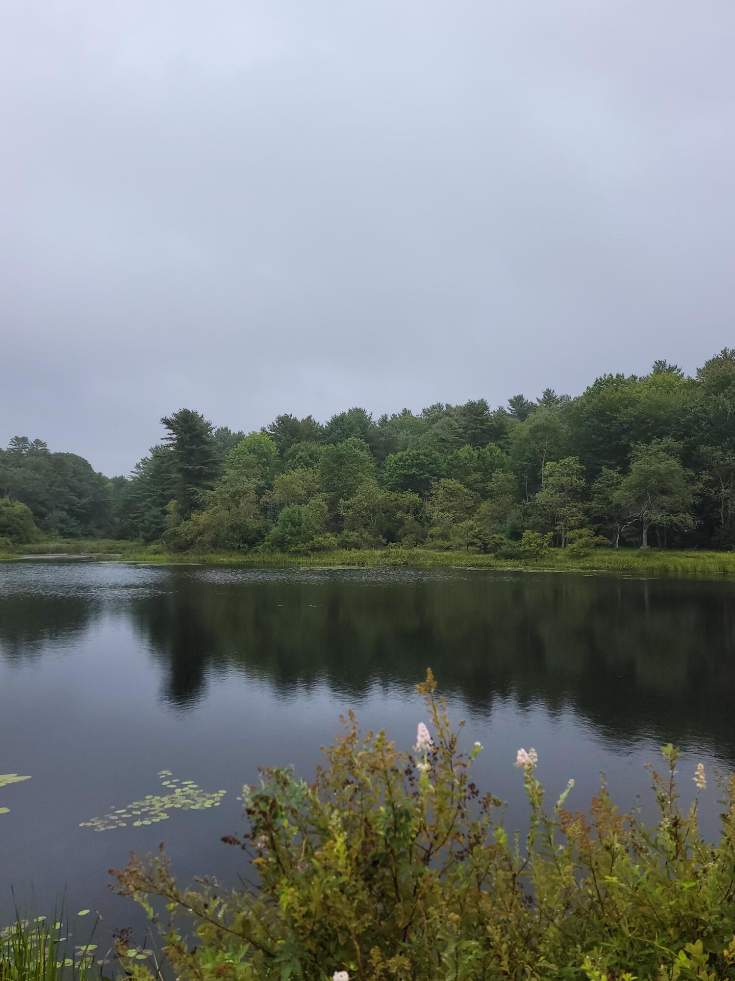 Lot #13-1 Lot#13-1 Shore Road Ellsworth, ME 04605 - Photo 4 of 41 Leonard's Lake
