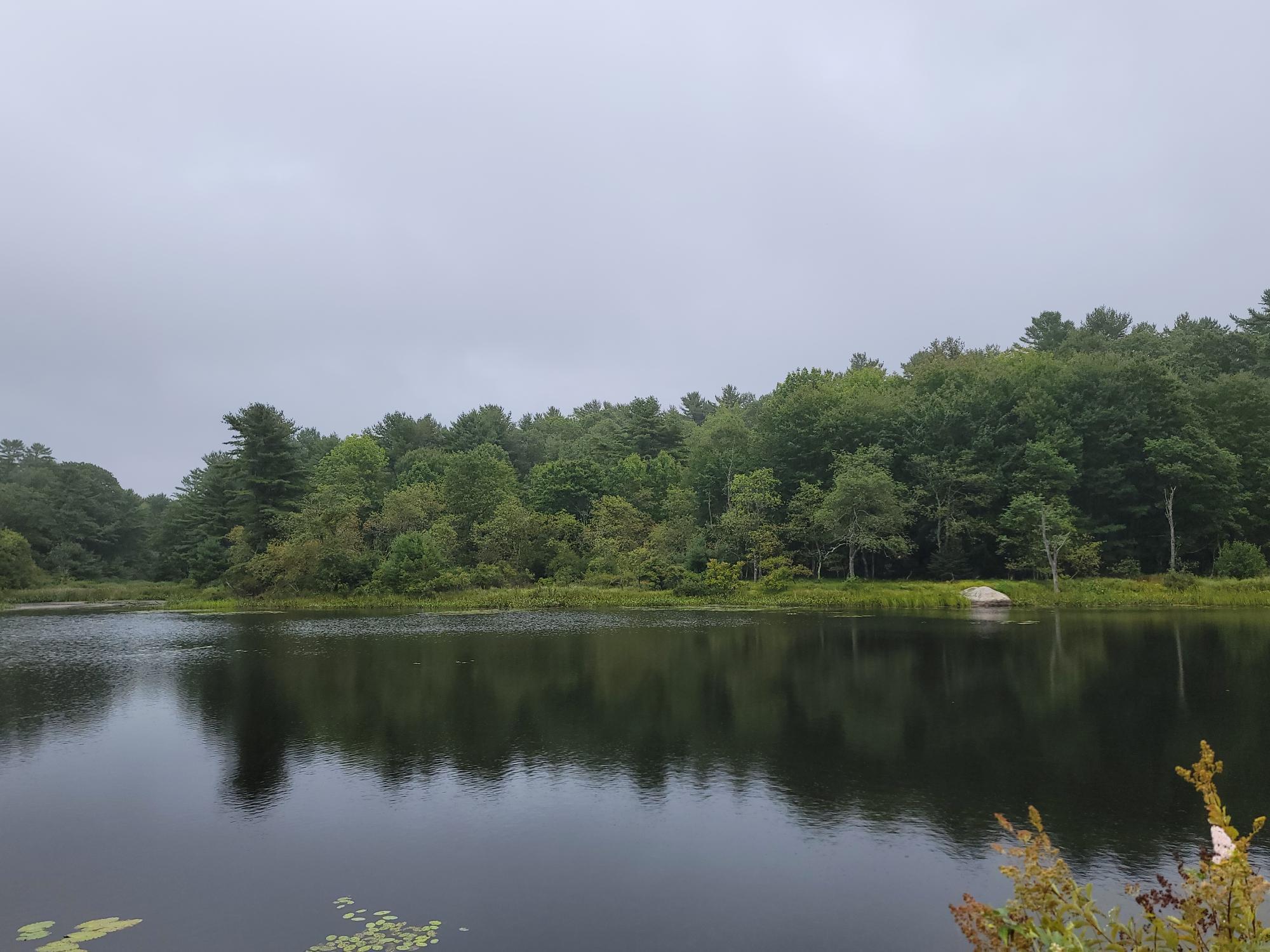 Lot #13-1 Lot#13-1 Shore Road Ellsworth, ME 04605 - Photo 8 of 41 Leonard's Lake