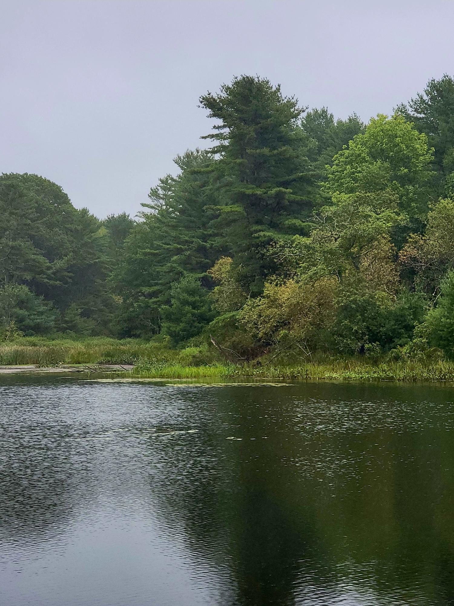 Lot #13-1 Lot#13-1 Shore Road Ellsworth, ME 04605 - Photo 9 of 41 Leonard's Lake