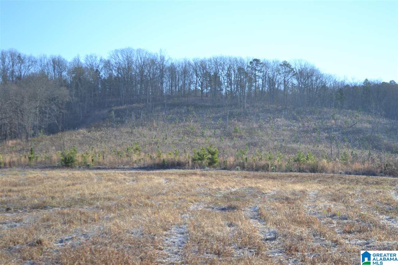 71 County Road, Unit 43 27 Woodland, AL 36280 - Photo 8 of 12