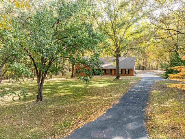 a view of a yard with large trees