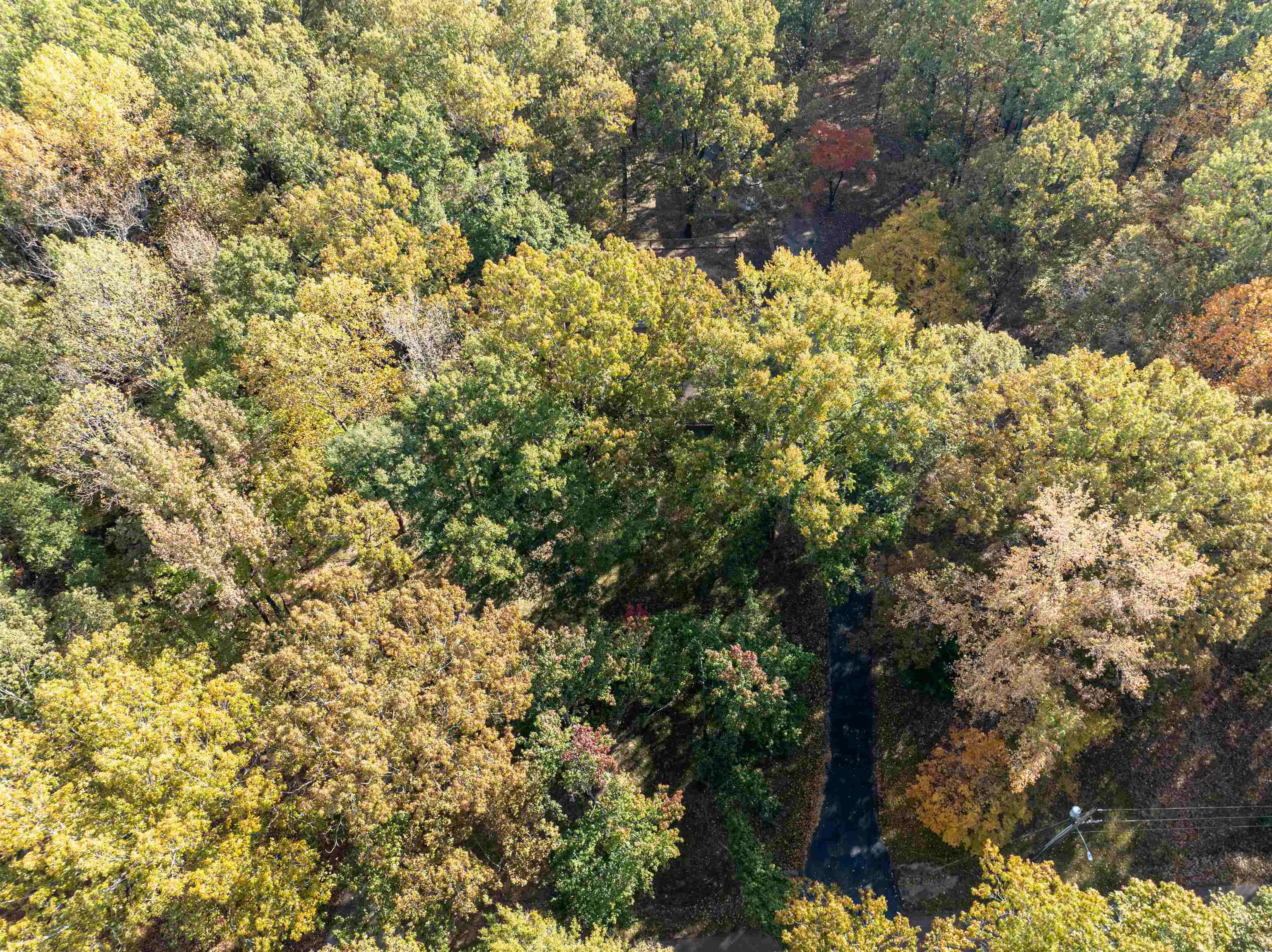 4808 Oak Road Bartlett, TN 38002 - Photo 27 of 35 Aerial view of property and surrounding area