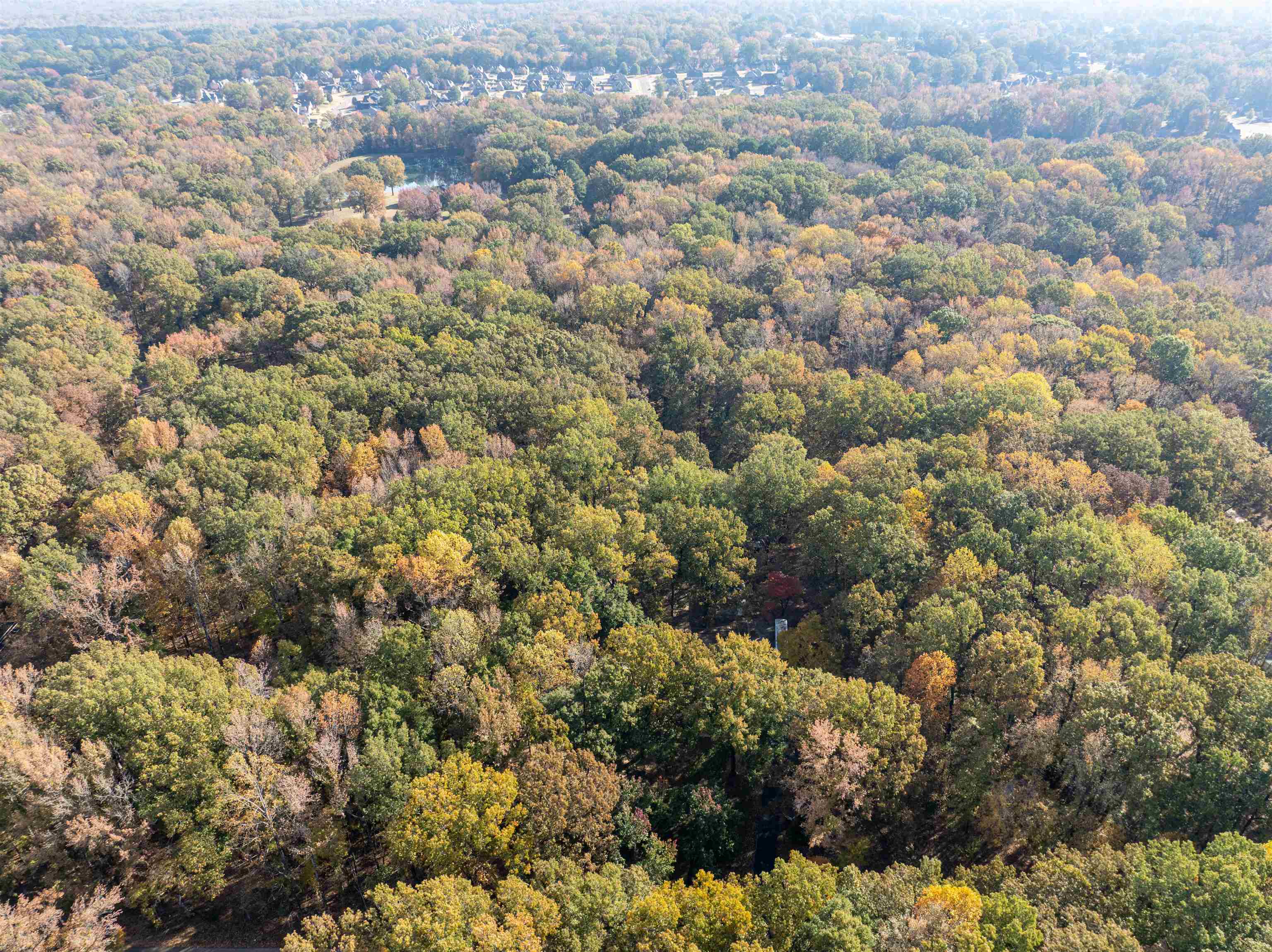 4808 Oak Road Bartlett, TN 38002 - Photo 28 of 35 Aerial view