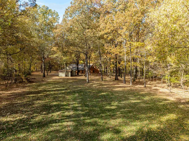a view of yard with trees