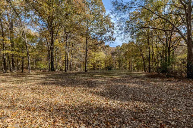 a view of road with trees