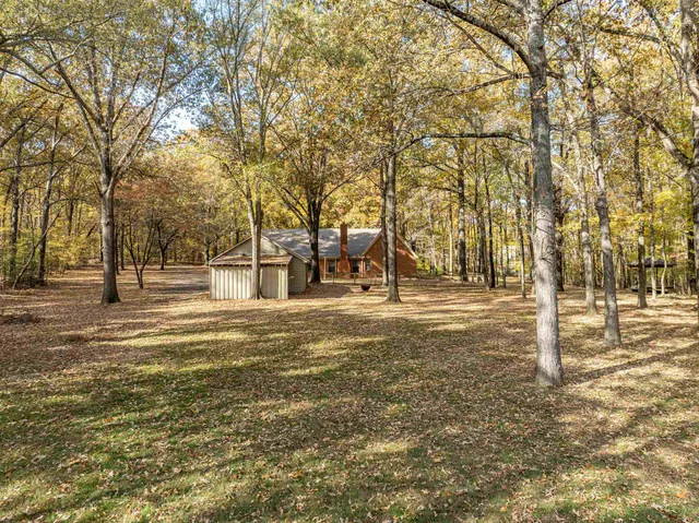 a view of a tree in a yard