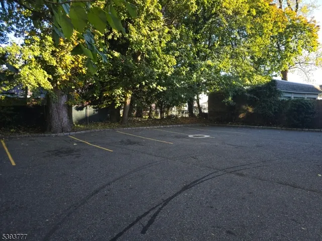 a view of backyard space and trees