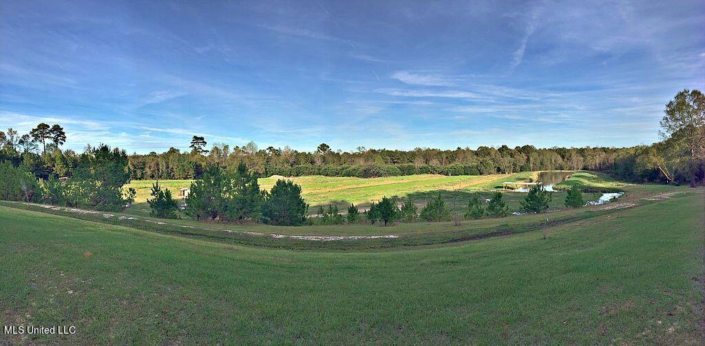 658 Owen Boone Road Brandon, MS 39042 - Photo 1 of 7 aerial