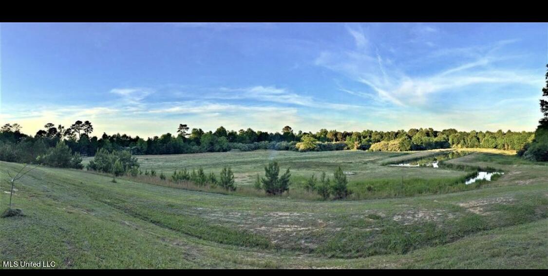 658 Owen Boone Road Brandon, MS 39042 - Photo 2 of 7 IMG_3147