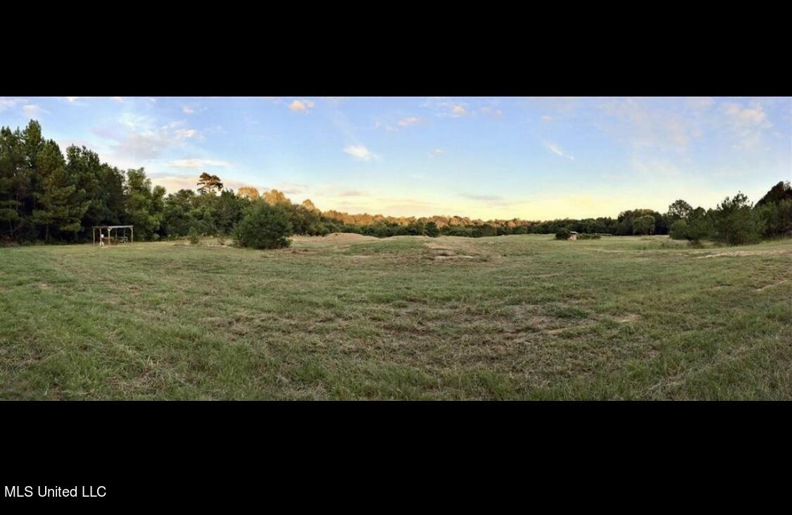 658 Owen Boone Road Brandon, MS 39042 - Photo 3 of 7 IMG_3148