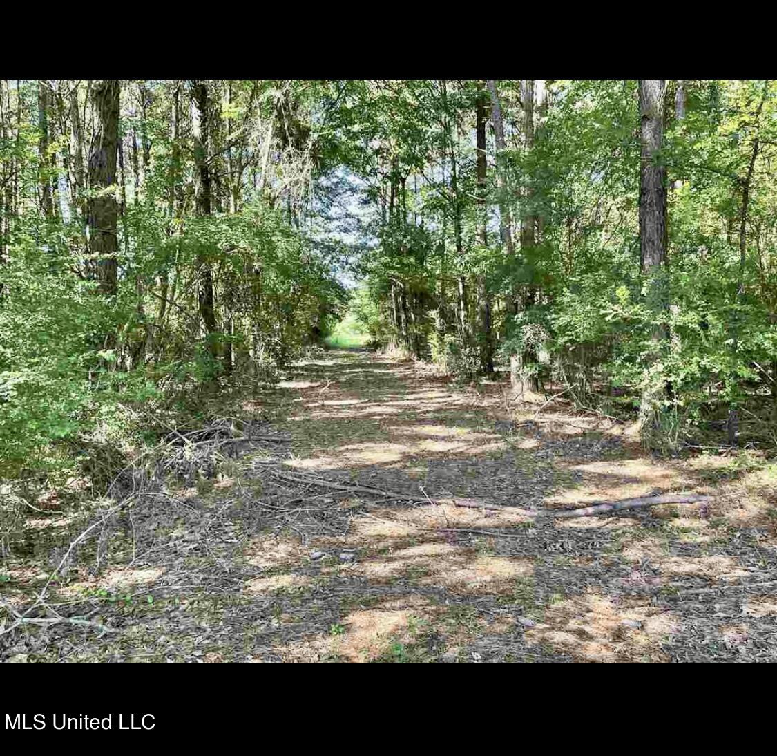 658 Owen Boone Road Brandon, MS 39042 - Photo 6 of 7 IMG_3151