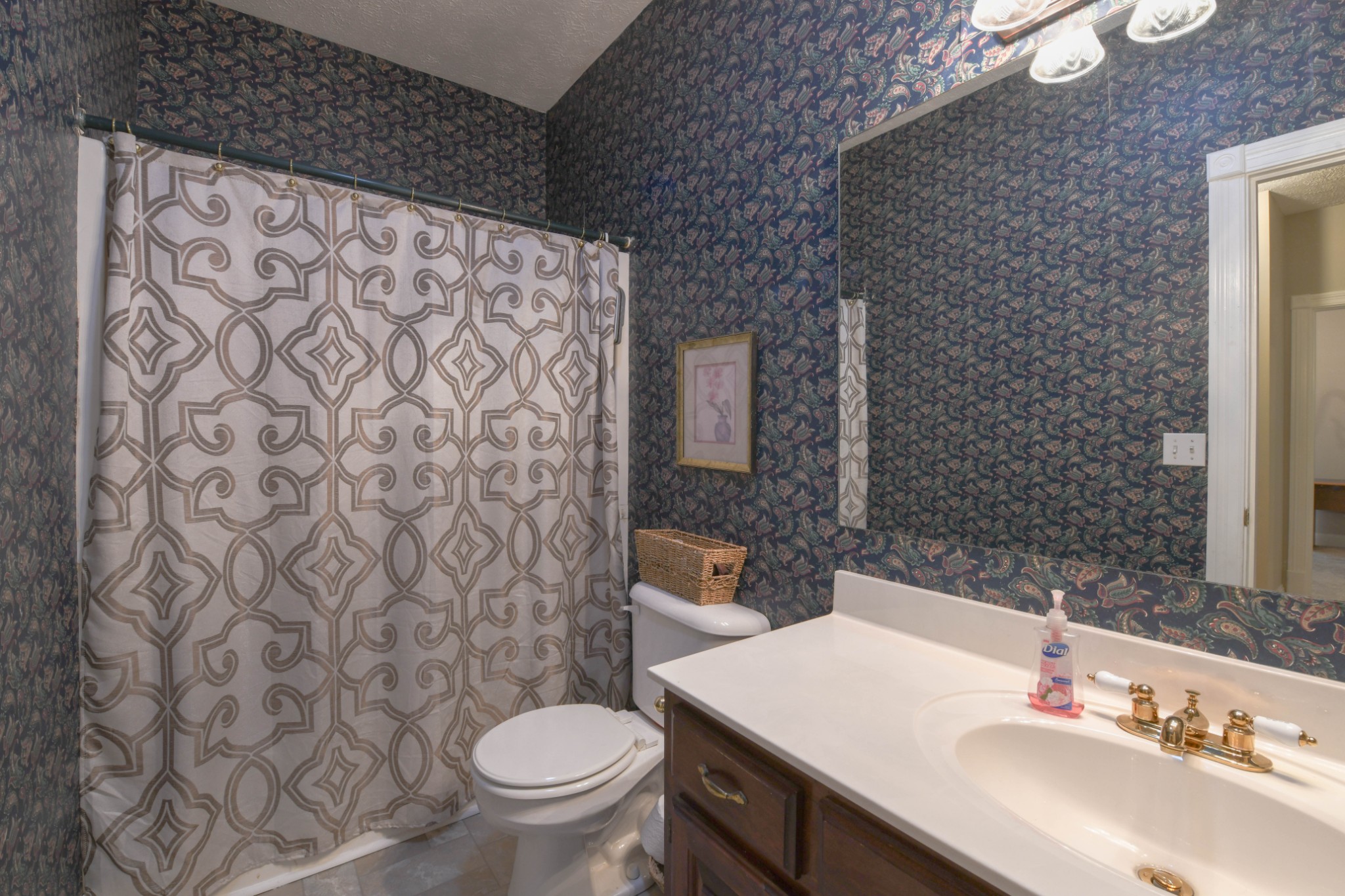 2558 South Mt Pleasant Road Greenbrier, TN 37073 - Photo 16 of 36 a bathroom with a sink toilet and mirror