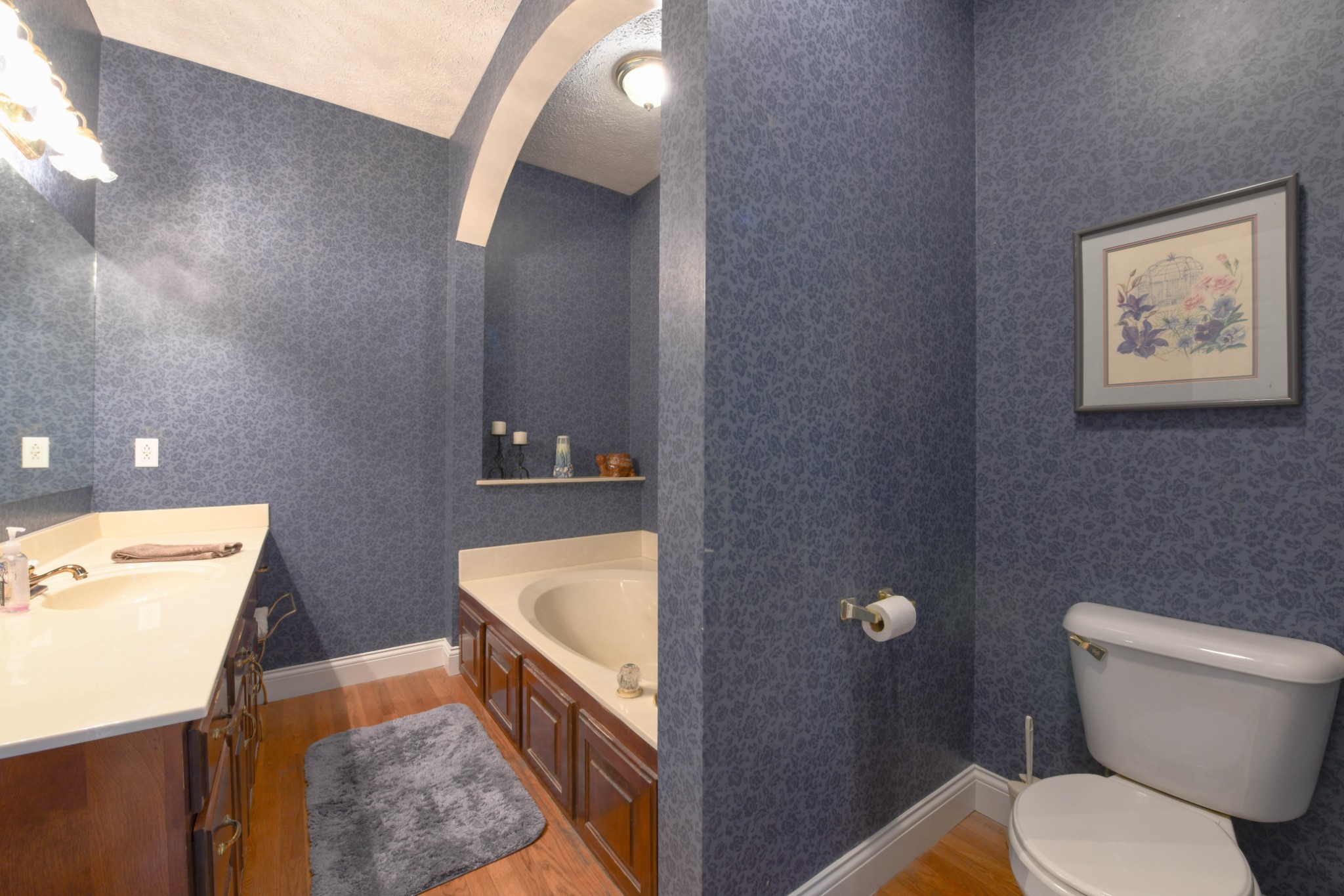 2558 South Mt Pleasant Road Greenbrier, TN 37073 - Photo 19 of 36 a bathroom with a sink a toilet and mirror