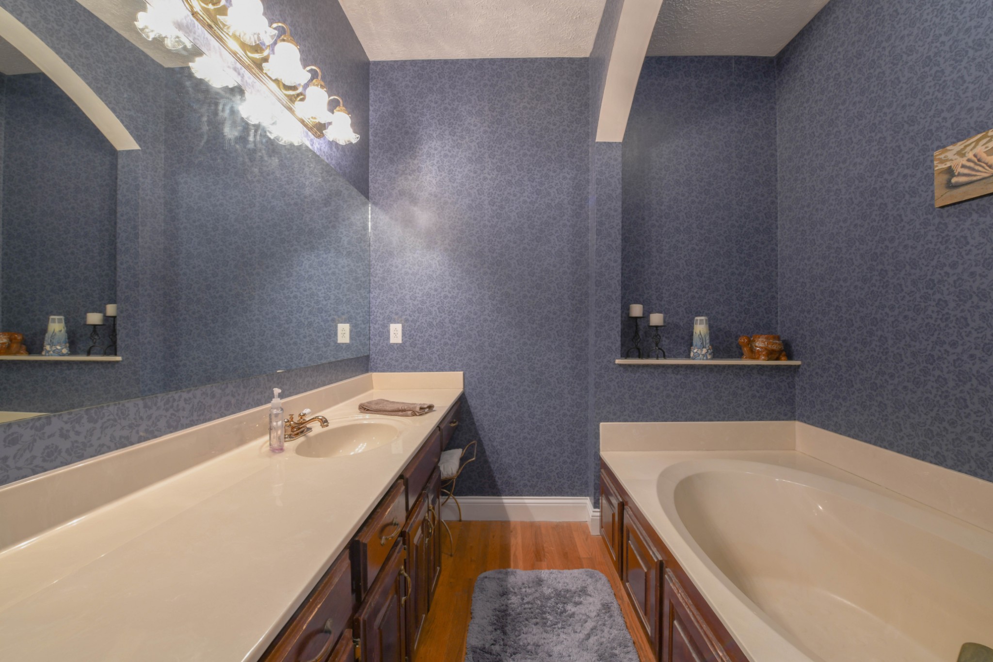 2558 South Mt Pleasant Road Greenbrier, TN 37073 - Photo 20 of 36 a bathroom with a tub a sink and mirror