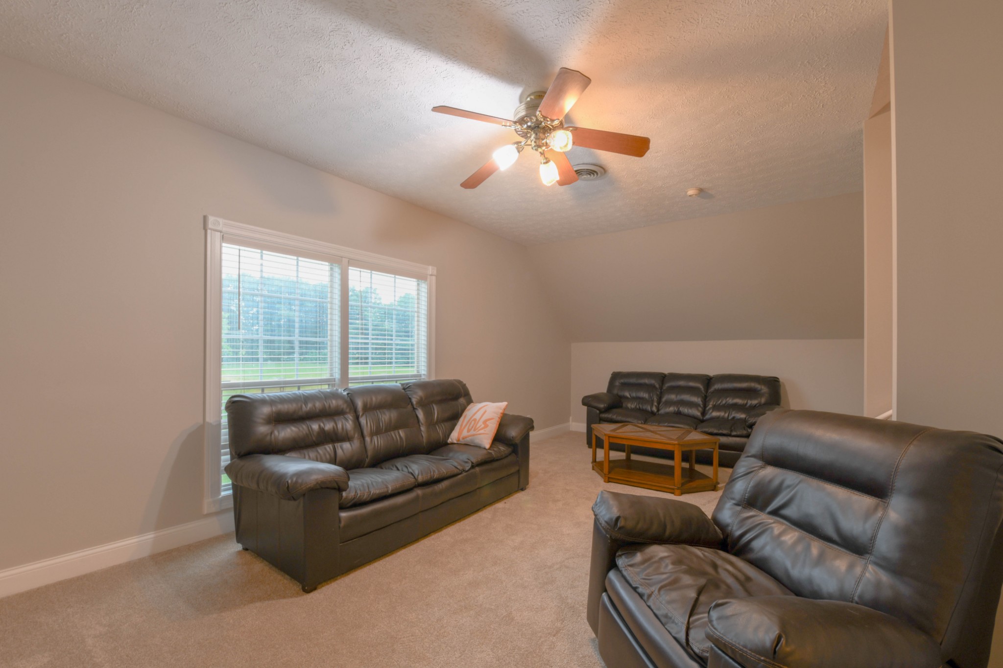 2558 South Mt Pleasant Road Greenbrier, TN 37073 - Photo 22 of 36 a living room with furniture and a window