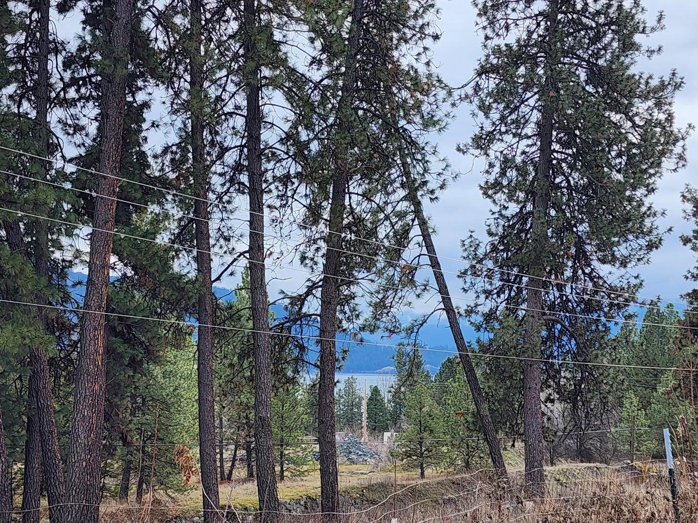 7 Nancy Creek Road Kettle Falls, WA 99141 - Photo 5 of 23