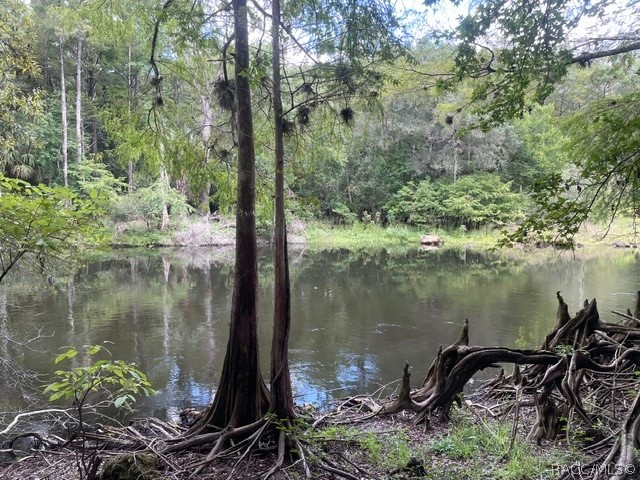 6409 East River Road Hernando, FL 34442 - Photo 17 of 50 Gallery Image 17
