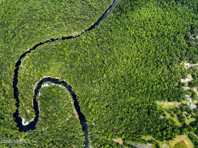 a close up of a lush green space