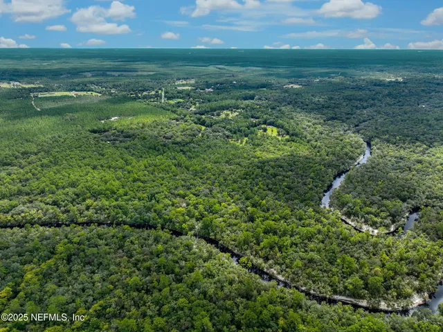 a view of a green field with lots of bushes