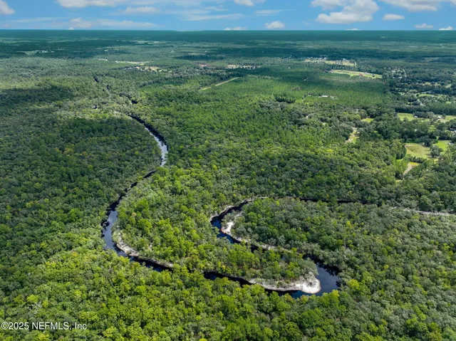 a view of a lush green space