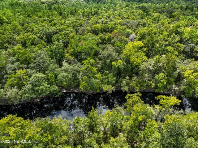 a view of a garden with plants