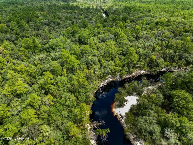 a view of a garden with plants