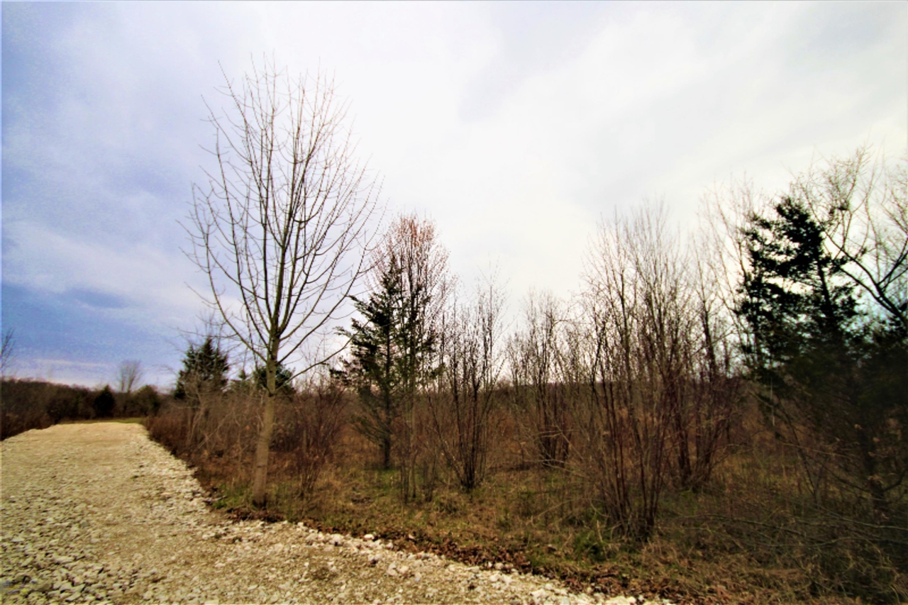 0 Warren Woods Road Lakeside, MI 49116 - Photo 3 of 17