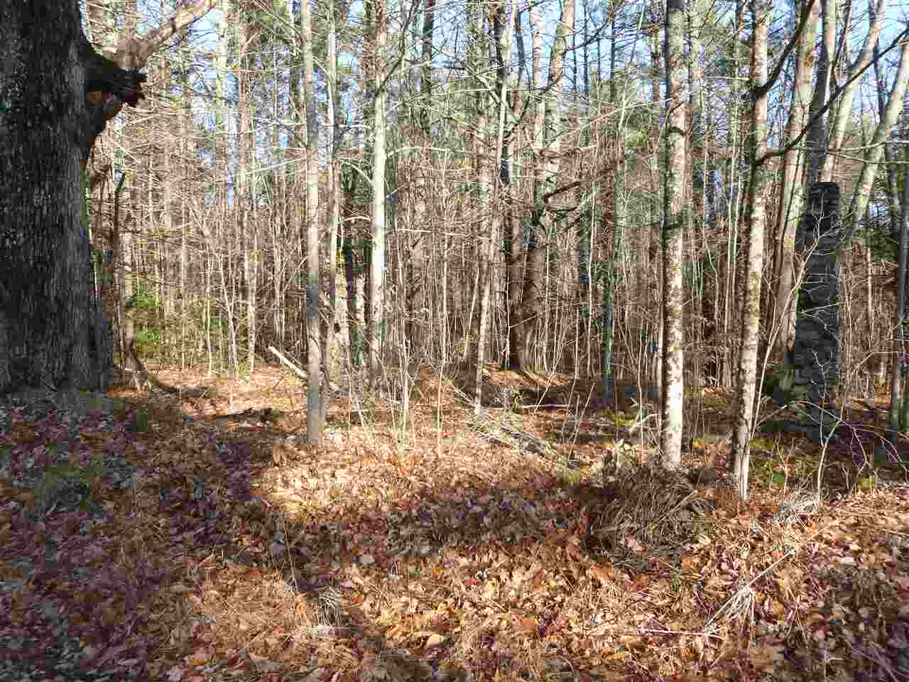 26-2 Peacham Road Center Barnstead, NH 03225 - Photo 3 of 9