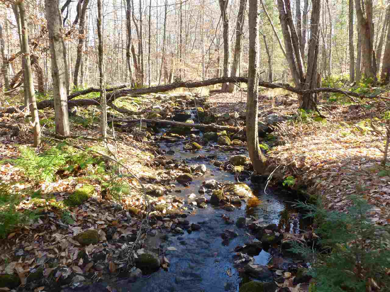 26-2 Peacham Road Center Barnstead, NH 03225 - Photo 8 of 9