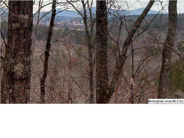7 County Road, Unit 76 Talladega, AL 35160 - Photo 10 of 13