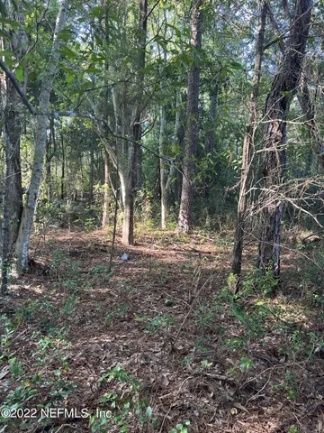 a view of outdoor space and tree