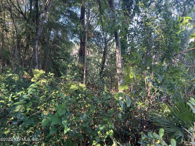 a view of a tree in a yard