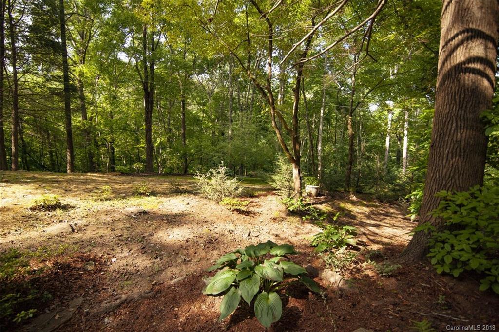 282 Rippy Road Tryon, NC 28782 - Photo 33 of 35