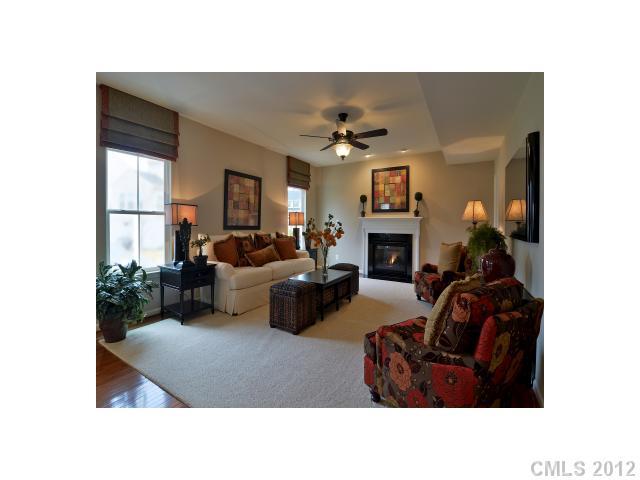 1617 Ridgehaven Road, Unit MB241 Waxhaw, NC 28173 - Photo 3 of 4 a living room with furniture and a fireplace