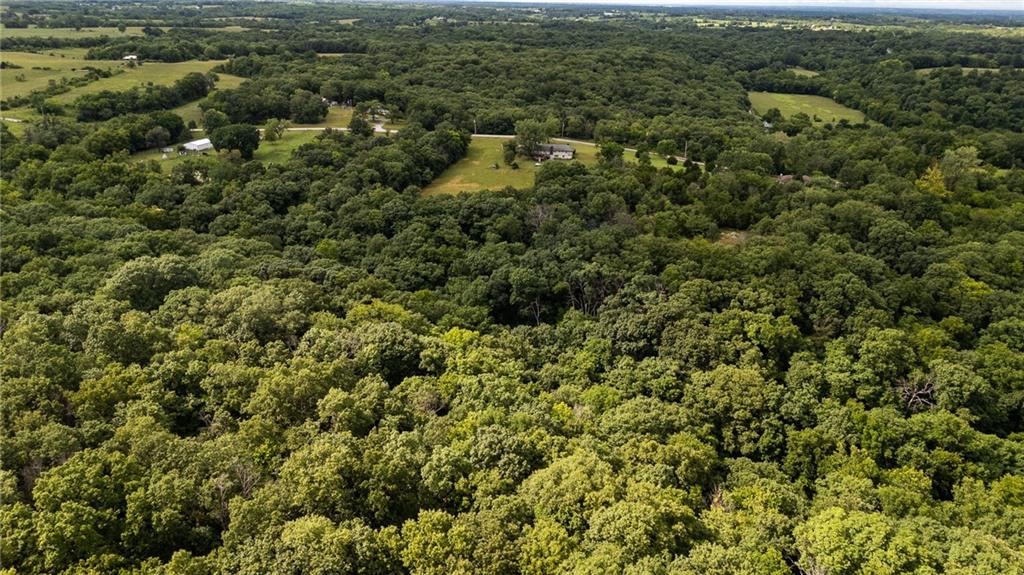 13137 Norris Road Rayville, MO 64084 - Photo 17 of 18