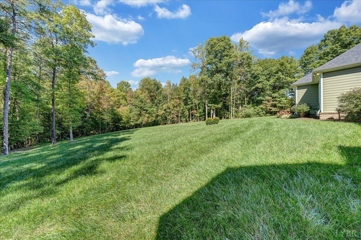 699 Police Tower Road Appomattox, VA 24522 - Photo 55 of 66 a view of a big yard with plants and large trees