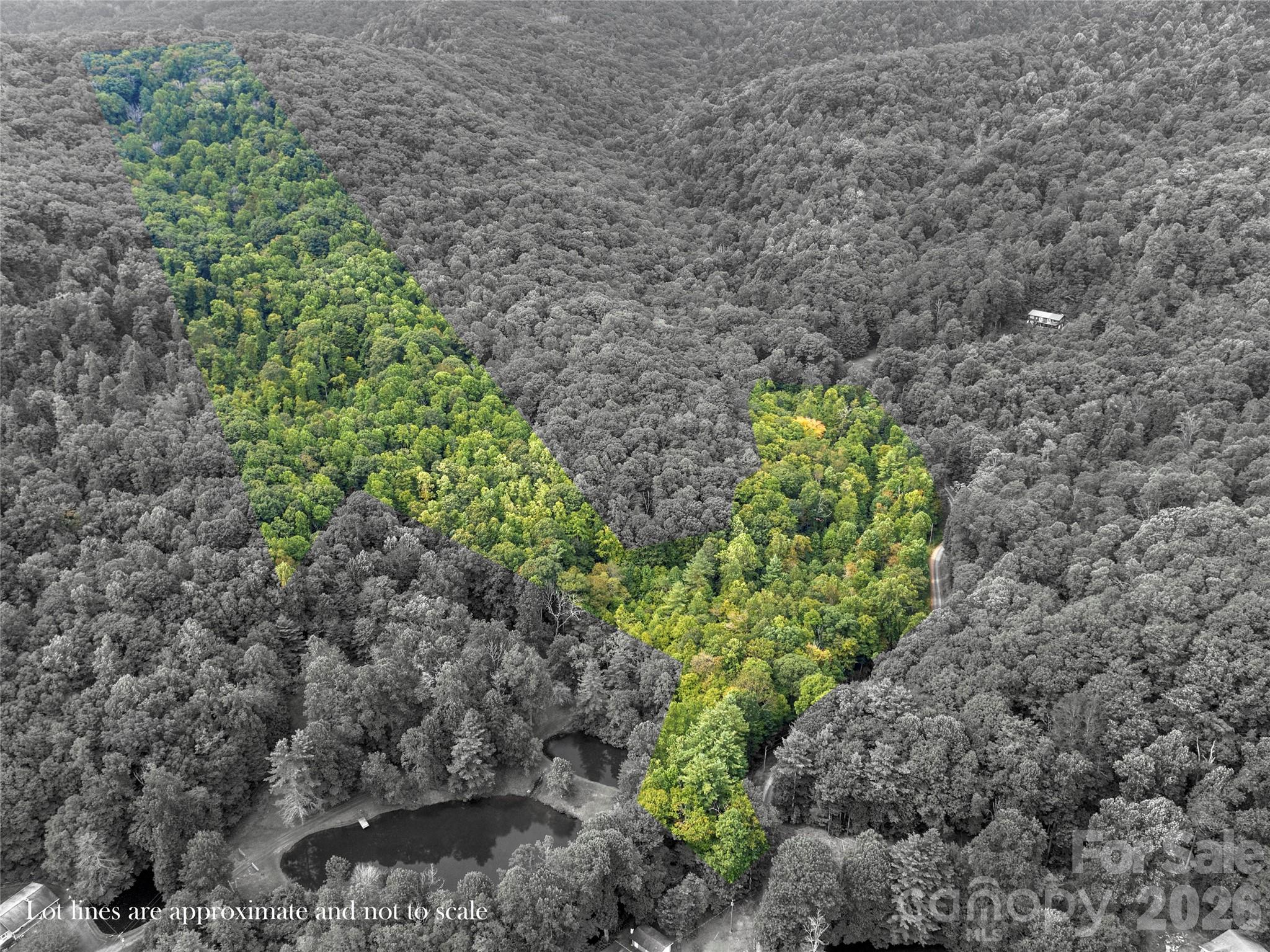 Tbd Pond Road Spruce Pine, NC 28777 - Photo 10 of 11 Gallery Image 10