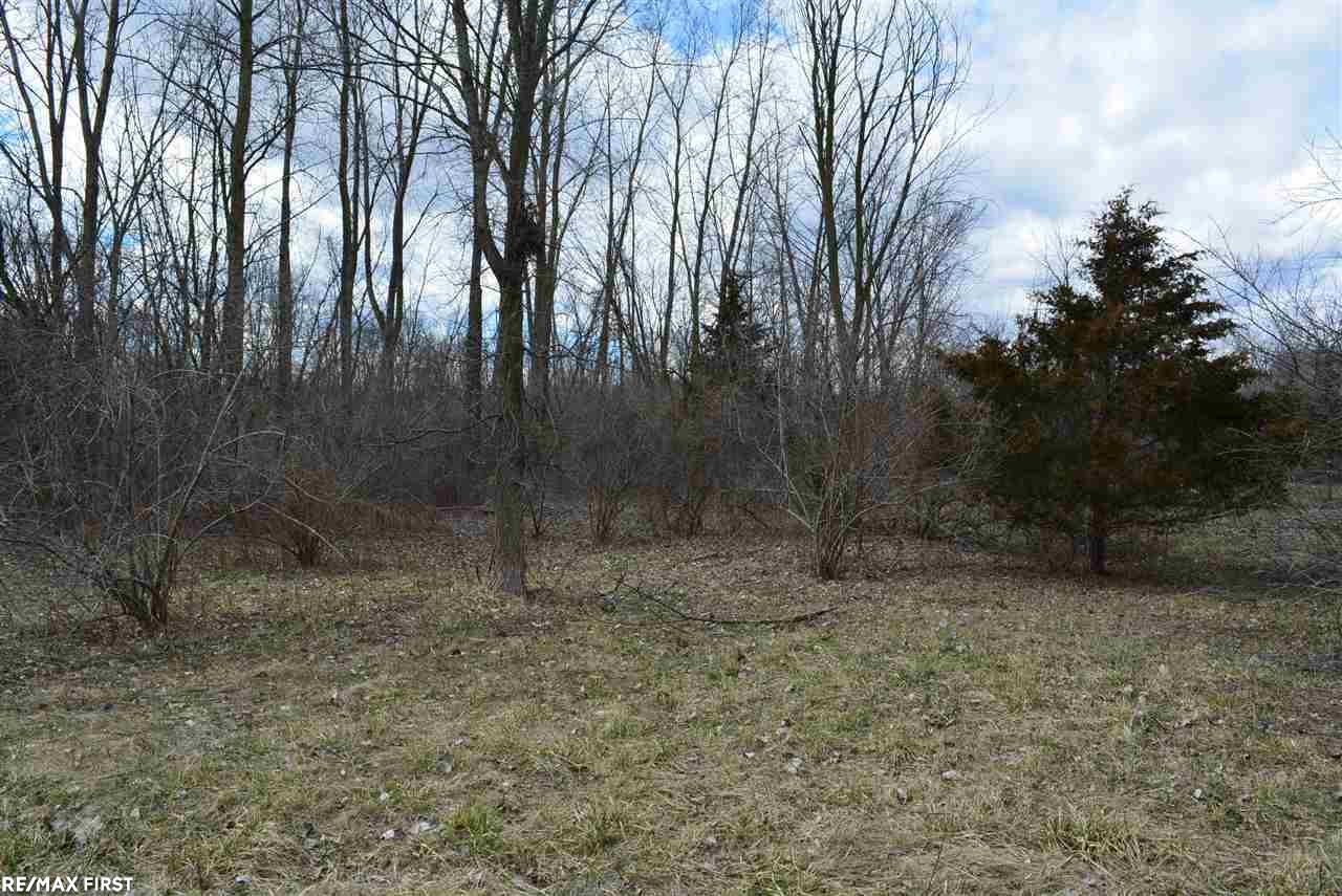 0 Jewell Road Utica, MI 48315 - Photo 4 of 7
